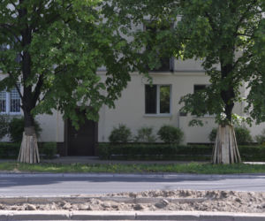 Wycinka drzew na Mokotowie. Mieszkańcy zbulwersowani, tramwajarze uspokajają