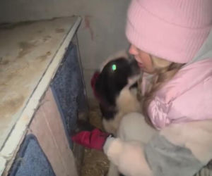 Koniec heroizmu Dody? Artystka mówi dość po dramatycznych wizytach w schroniskach