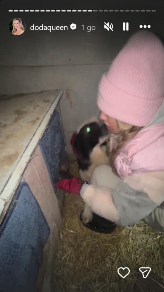 Koniec heroizmu Dody? Artystka mówi dość po dramatycznych wizytach w schroniskach