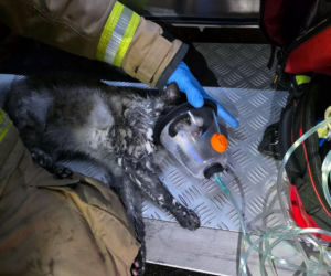 Kolejny pożar mieszkania w kamienicy w Kościanie. Ewakuowano kilka osób