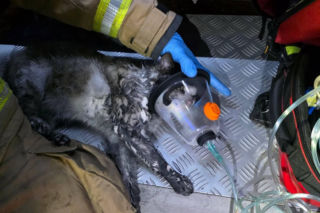 Kolejny pożar mieszkania w kamienicy w Kościanie. Ewakuowano kilka osób