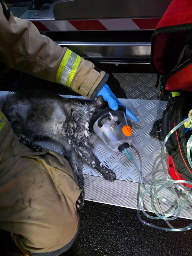 Kolejny pożar mieszkania w kamienicy w Kościanie. Ewakuowano kilka osób