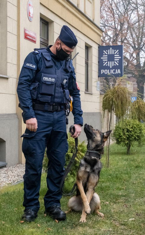 Otis nowy pies na komendzie
