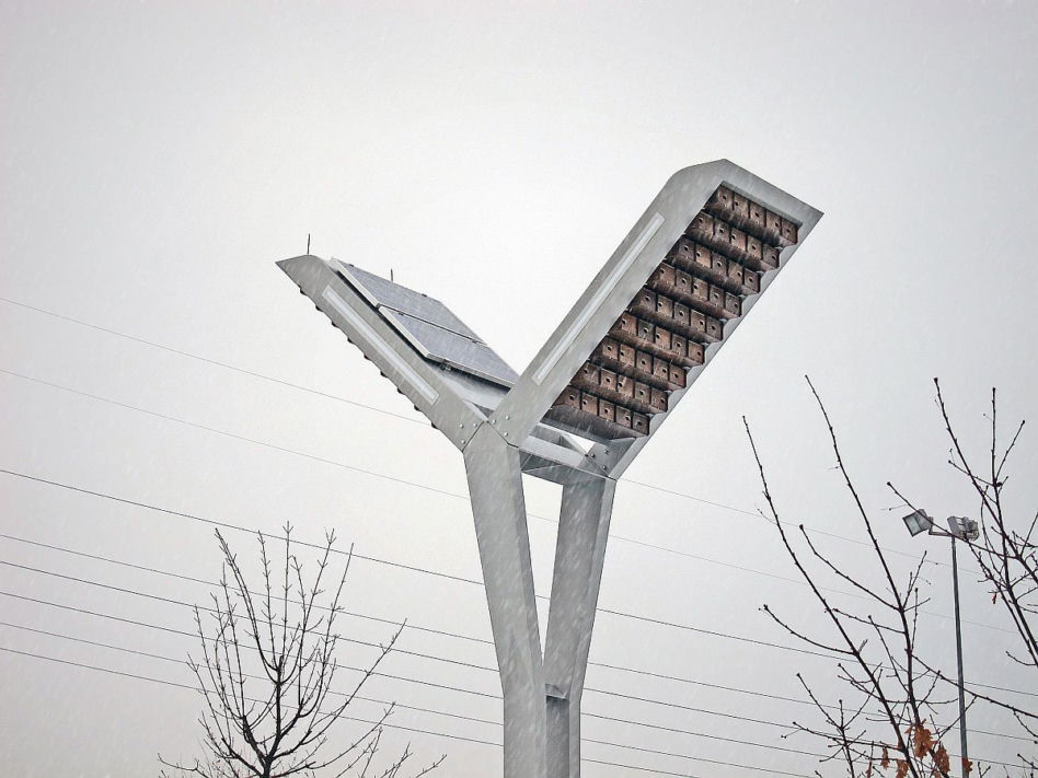 Architektura dla zwierząt