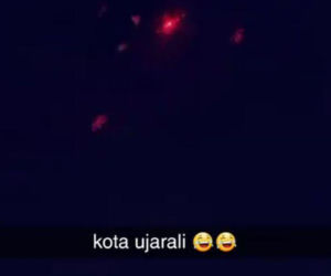 Idioci znęcali się nad kotem