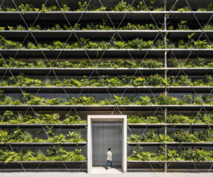 Zielone fasady odmieniają miasta