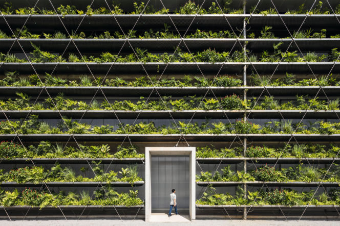 Zielone fasady odmieniają miasta