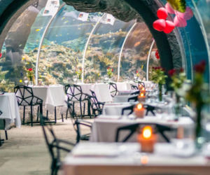 Kolacja Orientarium ZOO Łódź