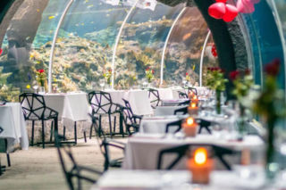 Kolacja Orientarium ZOO Łódź