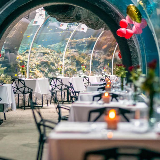 Kolacja Orientarium ZOO Łódź