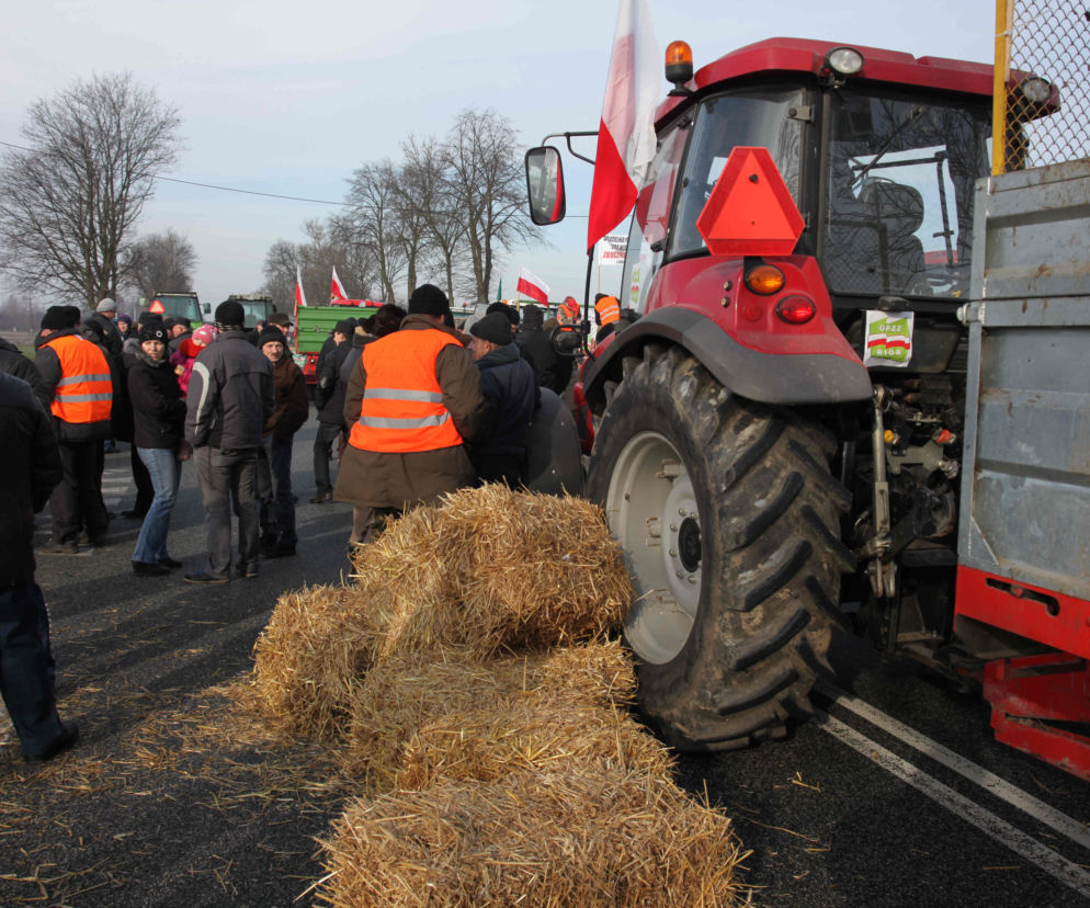 W Polsce nie da się żyć ze świni