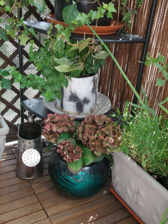 Mały balkon w wielkim mieście zdjecie nr 10