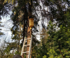  Budki lęgowe zawisły w bydgoskim Ogrodzie Botanicznym UKW w Bydgoszczy