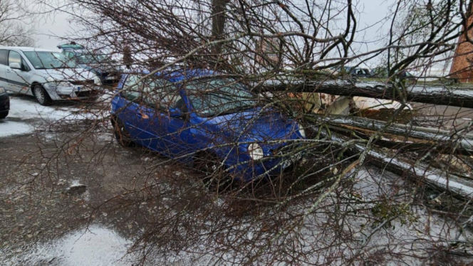 Wichura zniszczyła zabytkową kapliczkę przy sanktuarium