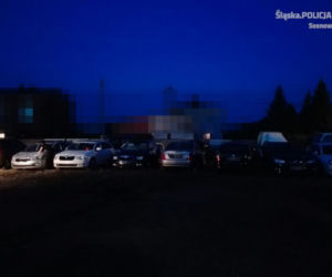 Sosnowiec: Policjanci odzyskali 11 skradzionych samochodów, głównie limuzyn [ZDJĘCIA]
