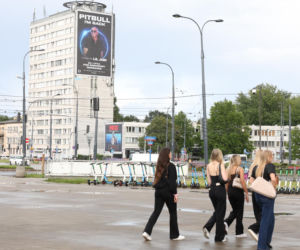 Fani przed koncertem Pitbulla