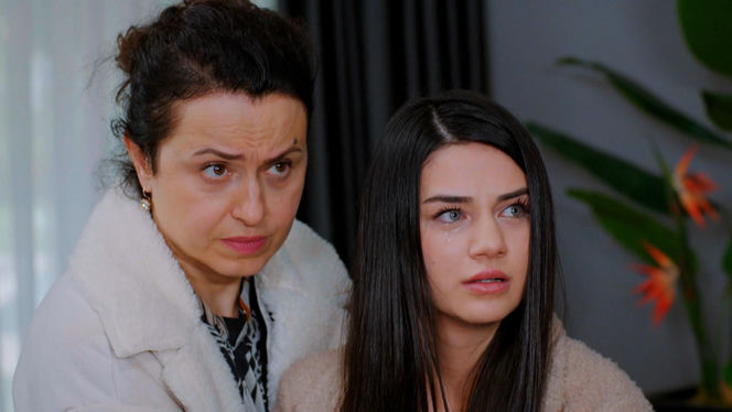 Miłość i nadzieja, odcinek 336. Bahar, Cavidan