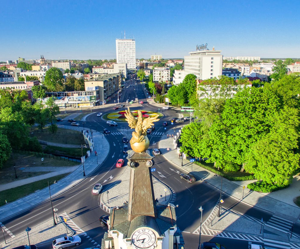 Gryf spogląda na Białystok [ZDJĘCIE DNIA]