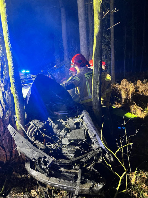 Śmiertelny wypadek pod Pleszewem. Dwóch nastolatków nie żyje. Kierujący volkswagenem nie miał uprawnień