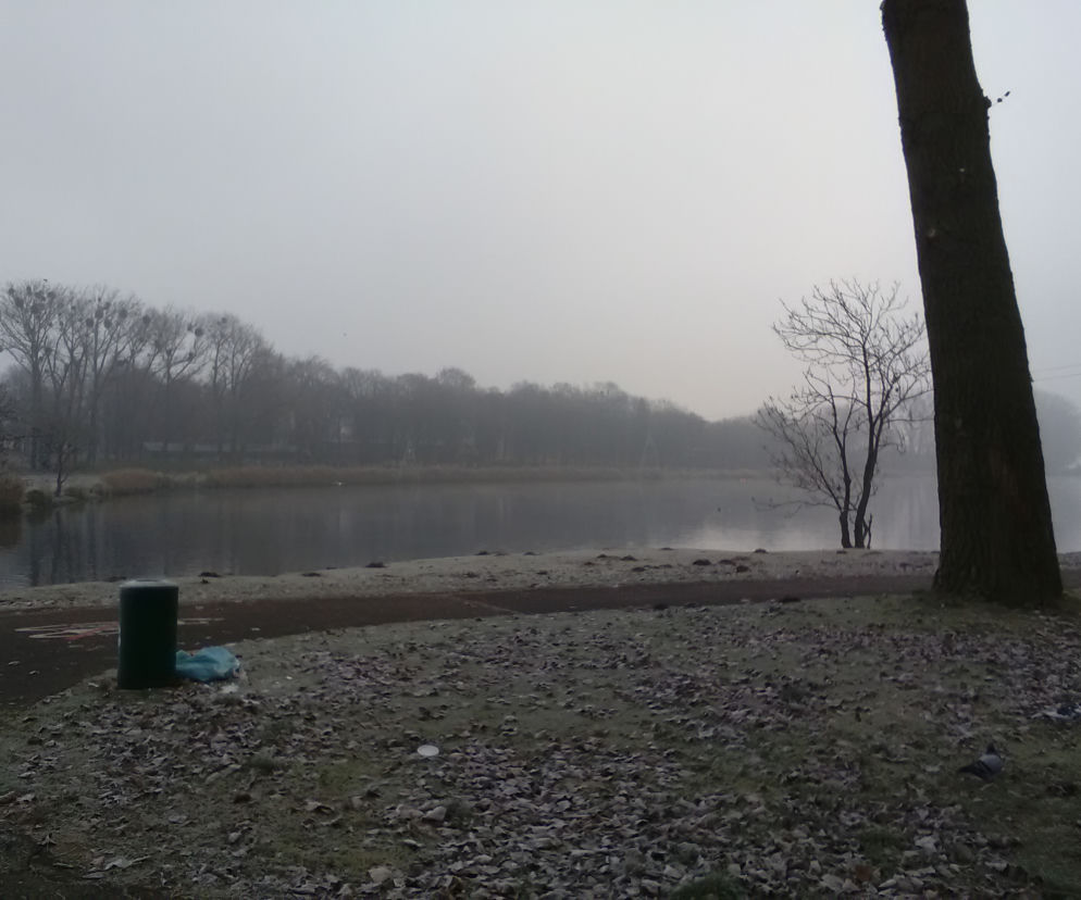 Jezioro Maltańskie