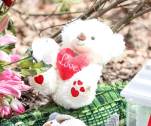 Zaskakujący zwrot w sprawie wypadku posła. Policja przyznała ochronę dla podejrzanego