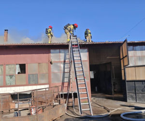 Wyjeżdżali do wypadków, pożarów i usuwania skutków wichury. Łukowscy strażacy interweniowali 69 razy w ciągu tygodnia