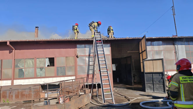 Wyjeżdżali do wypadków, pożarów i usuwania skutków wichury. Łukowscy strażacy interweniowali 69 razy w ciągu tygodnia
