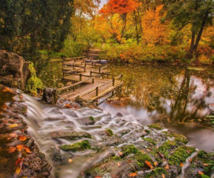 Ogród Botaniczny Uniwersytetu Wrocławskiego