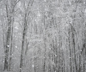 Atak zimy w Polsce. Tutaj zrobiło się biało