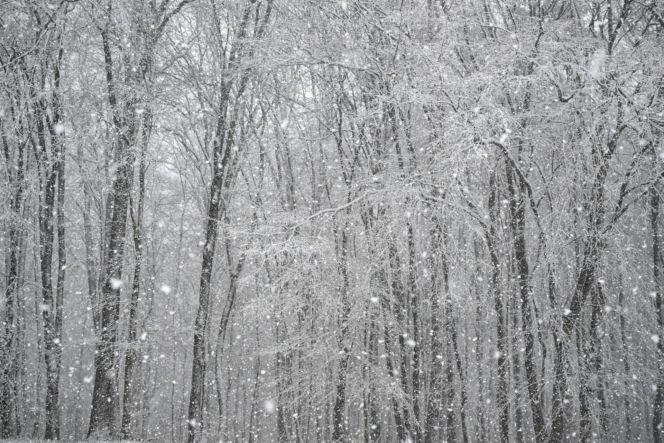 Atak zimy w Polsce. Tutaj zrobiło się biało