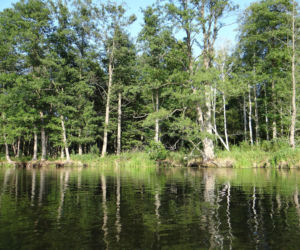 Mazury w zestawieniu TOP 10 najpiękniejszych miejsc na wakacje w Europie