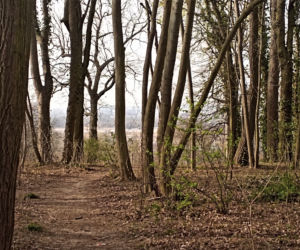 Wieża Baresela nad Jeziorem Szmaragdowym