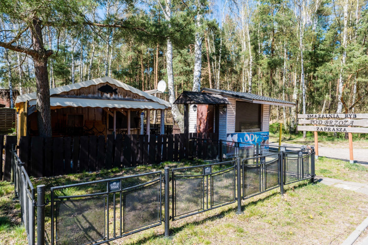 Koronawirus zniszczy turystykę na Wyspie Sobieszewskiej