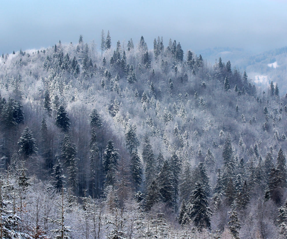 Pogoda w Małopolsce: Wtorek pochmurny, miejscami sypnie śniegiem [POGODA 27.11.2018]