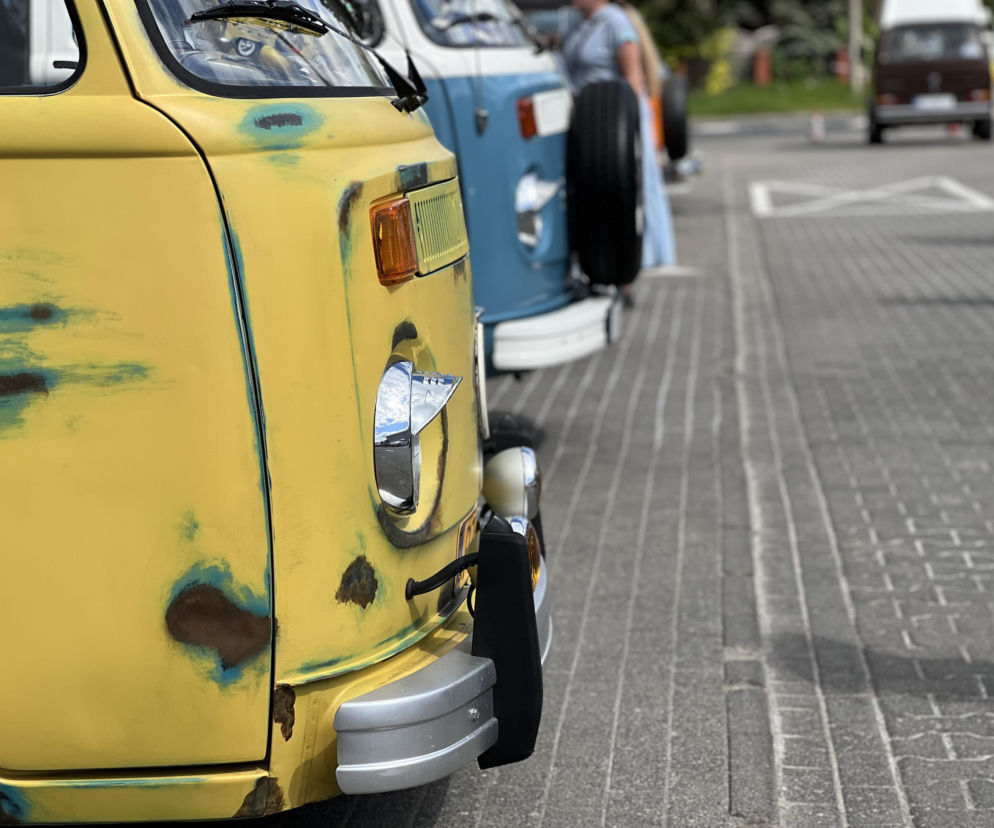 VW FEST 2026