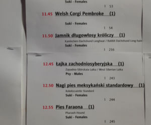 ​Psia elita w Lesznie. W hali Trapez odbyła się XXIV wystawa Champion of Champion's Show