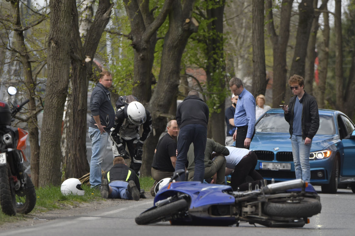 Łoś uderzył w motor przed rondem w Zielonce 