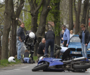Łoś uderzył w motor przed rondem w Zielonce 