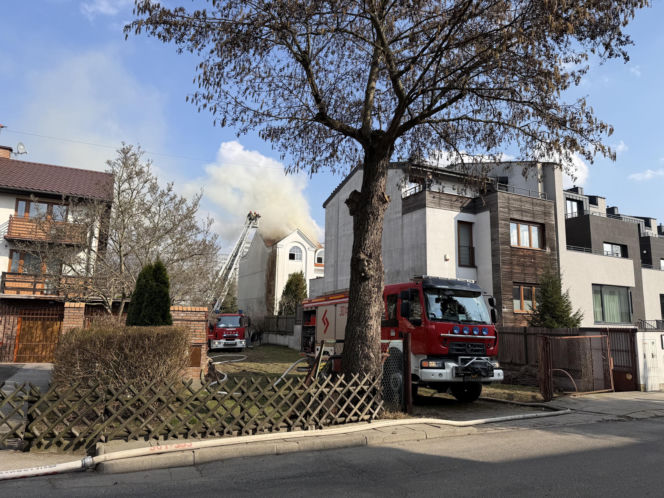 Seria groźnych pożarów pod Warszawą