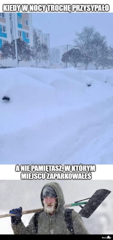 Memy o zimie roztapiają smutki. Te śnieżne obrazki rozbawią cię do łez [TOP 75]