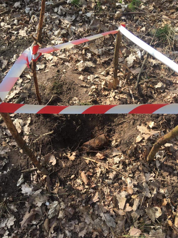 Niebezpiecznie znalezisko w lesie! Na miejsce wezwano specjalistyczne służby [ZDJĘCIA]