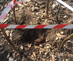 Niebezpiecznie znalezisko w lesie! Na miejsce wezwano specjalistyczne służby [ZDJĘCIA]