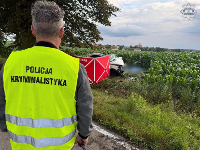Dopiero weszli w dorosłość. Zginęli tragiczną śmiercią podczas wypadku