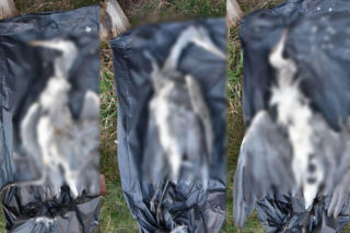 Sprawa ma swój dalszy, poważny ciąg