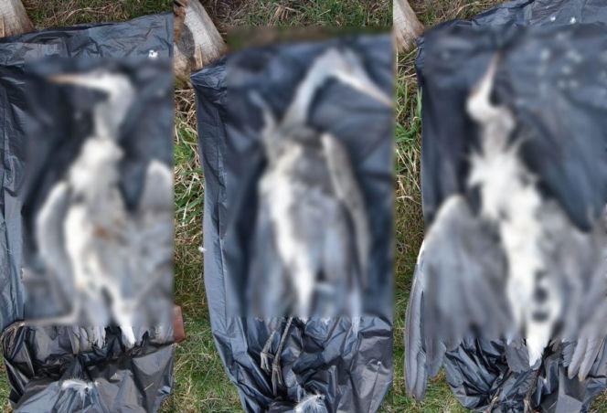 Sprawa ma swój dalszy, poważny ciąg