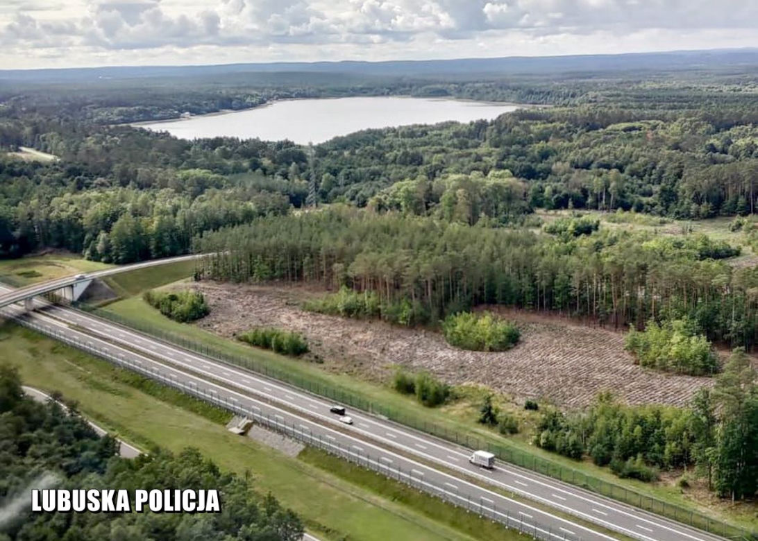 Poszukiwania 66-latki pod Międzyrzeczem