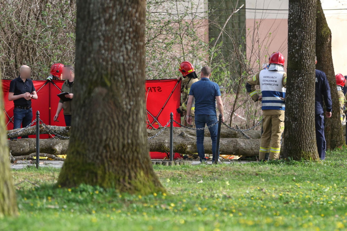 Rabka-Zdrój. Trzy osoby, w tym sześcioletnie dziecko, zginęły przygniecione przez powalone pod naporem wiatru drzewo