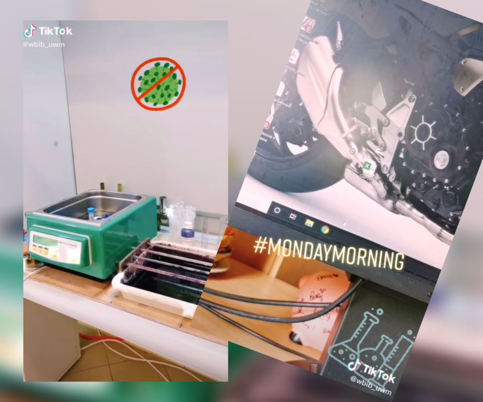 Wykładowcy z UWM na TikToku. Znaleźli NOWY SPOSÓB na zdalną naukę