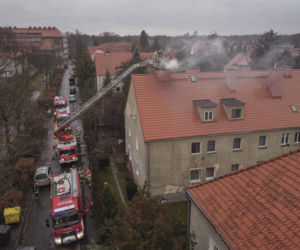 Pożar na wrocławskim Sępolnie we Wrocławiu 