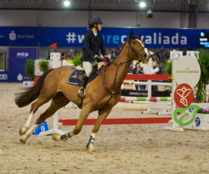Cavaliada 2019 w Lublinie